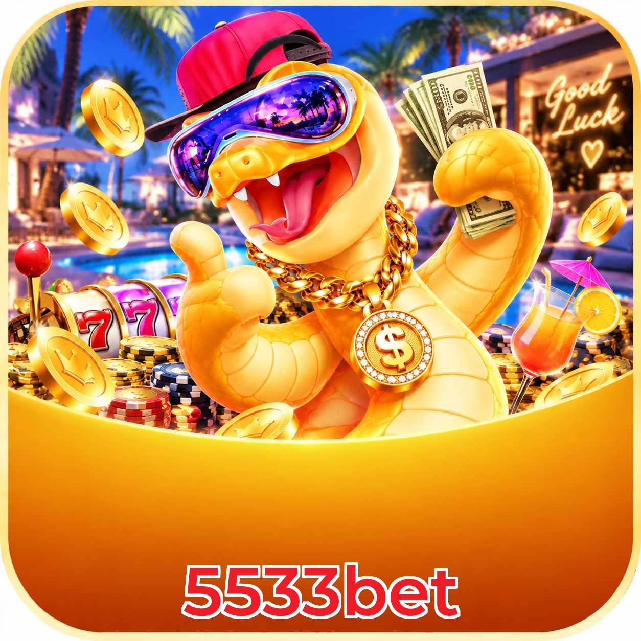 Grandes ganhos no cassino ao vivo da 5533bet